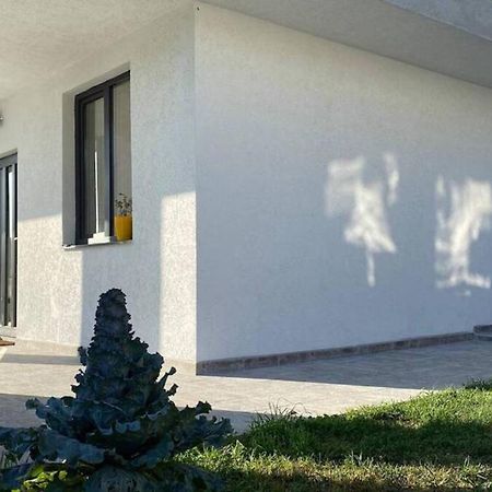 Lola Seaview Guest House. Уютный Домик В Варне Varna Eksteriør bilde