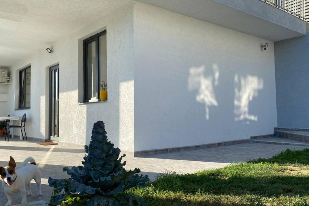 Lola Seaview Guest House. Уютный Домик В Варне Varna Eksteriør bilde